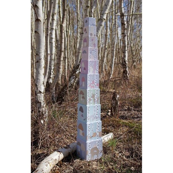 Στοιβαζόμενοι κύβοι 1-10 Forest